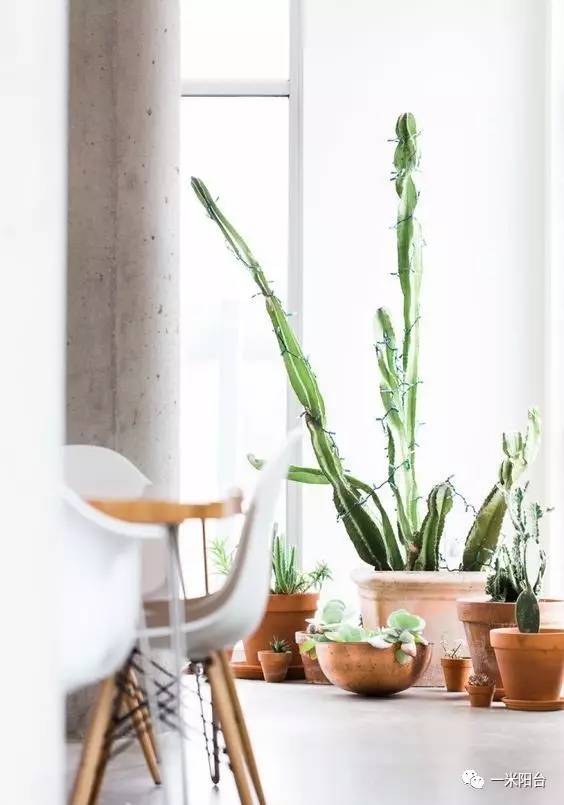 6种文艺花器 设计头条