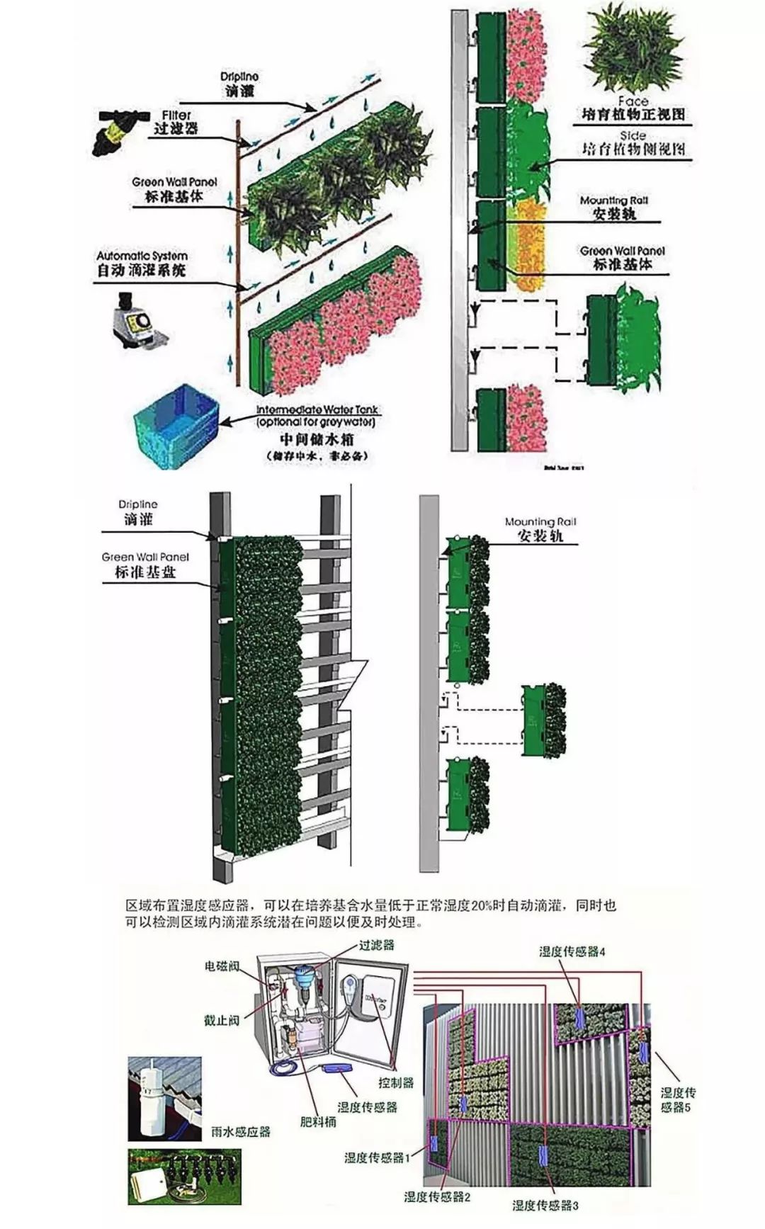 墙面绿化构造图片