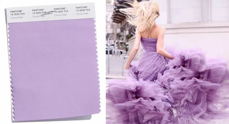 浅淡的紫色是精致的色调,轻盈之中带着柔美.