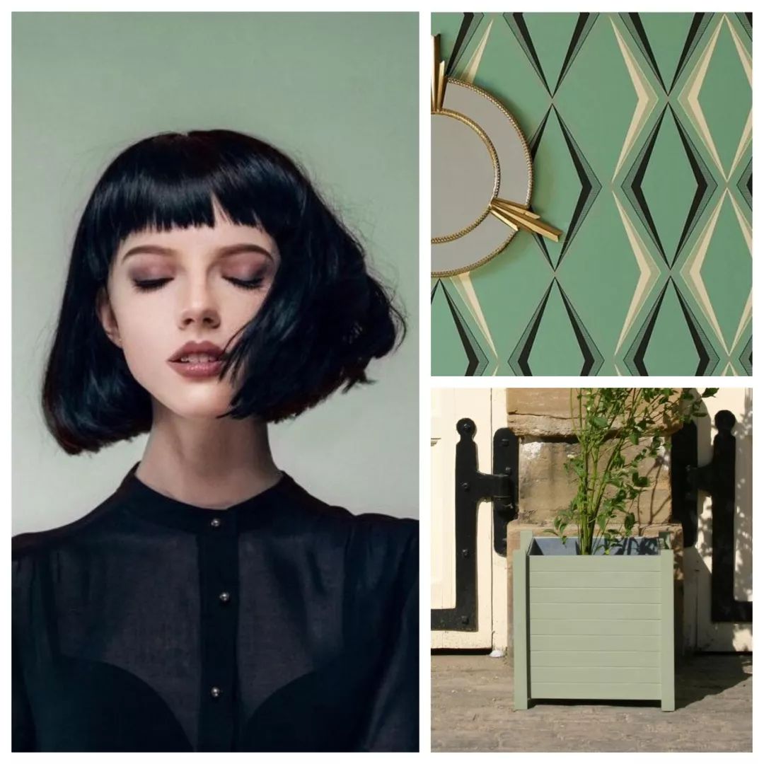 亮白色 灰绿色 栗色 柑橘色 纯黑色房间拥有平滑的质感,纯净的色彩使