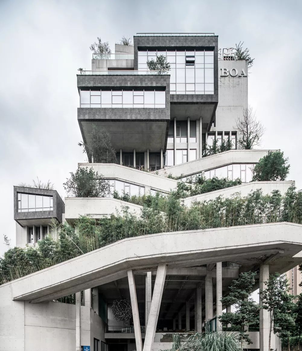 重庆房子山丘上的疯房子里面藏了一整个重庆