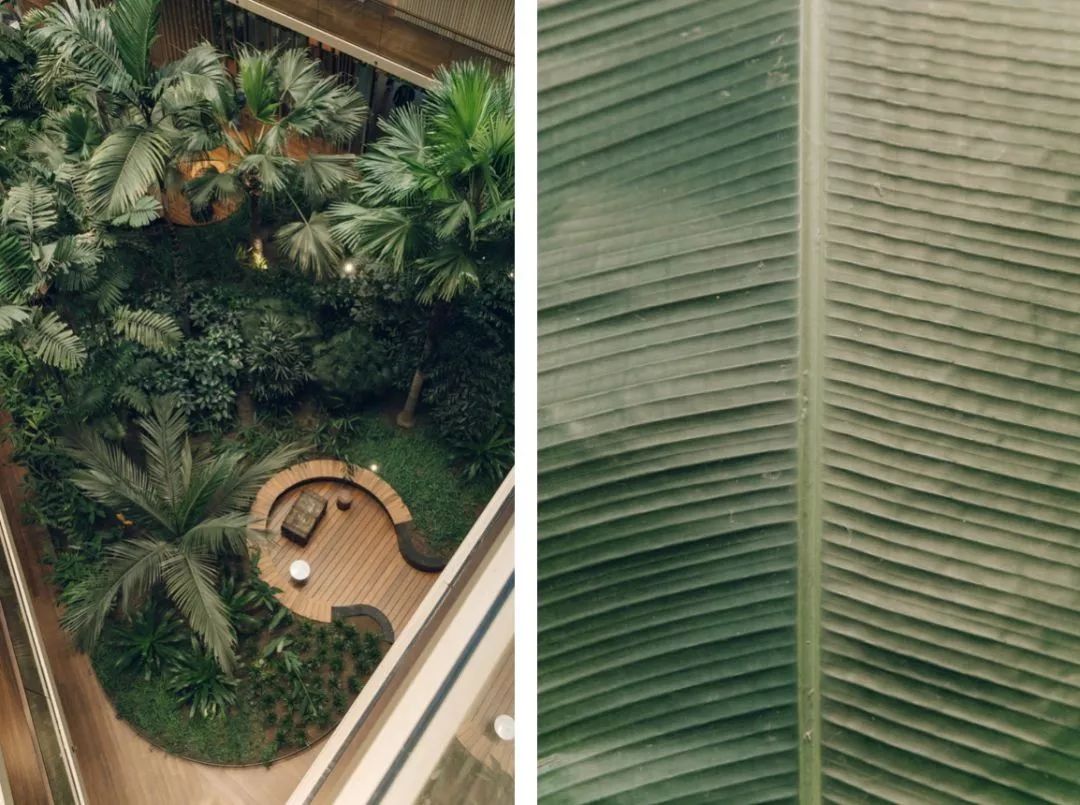 荷兰阿姆斯特丹Jakarta酒店，刚开业就斩获建筑环保大奖