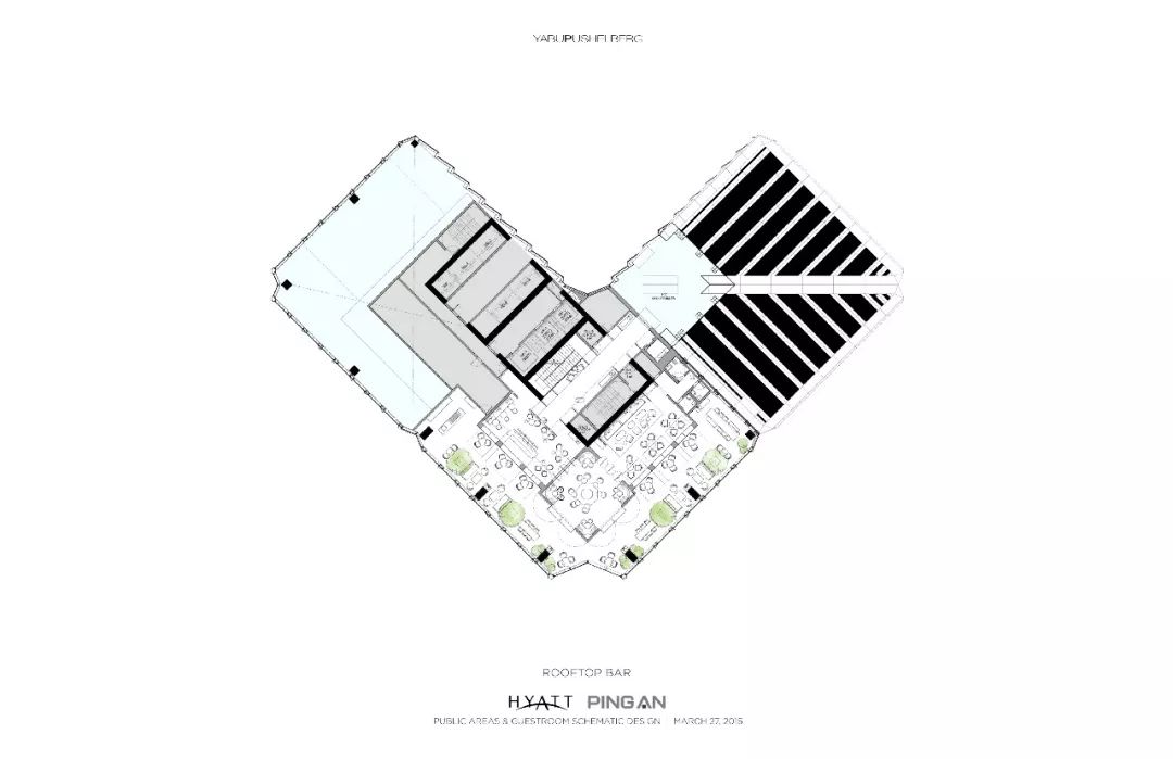 带着方案看柏悦全网最全方案实景