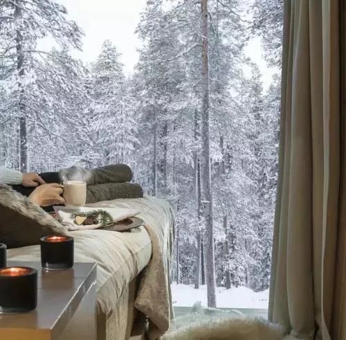 美如仙境的芬兰树屋酒店，带你一起看北极光！