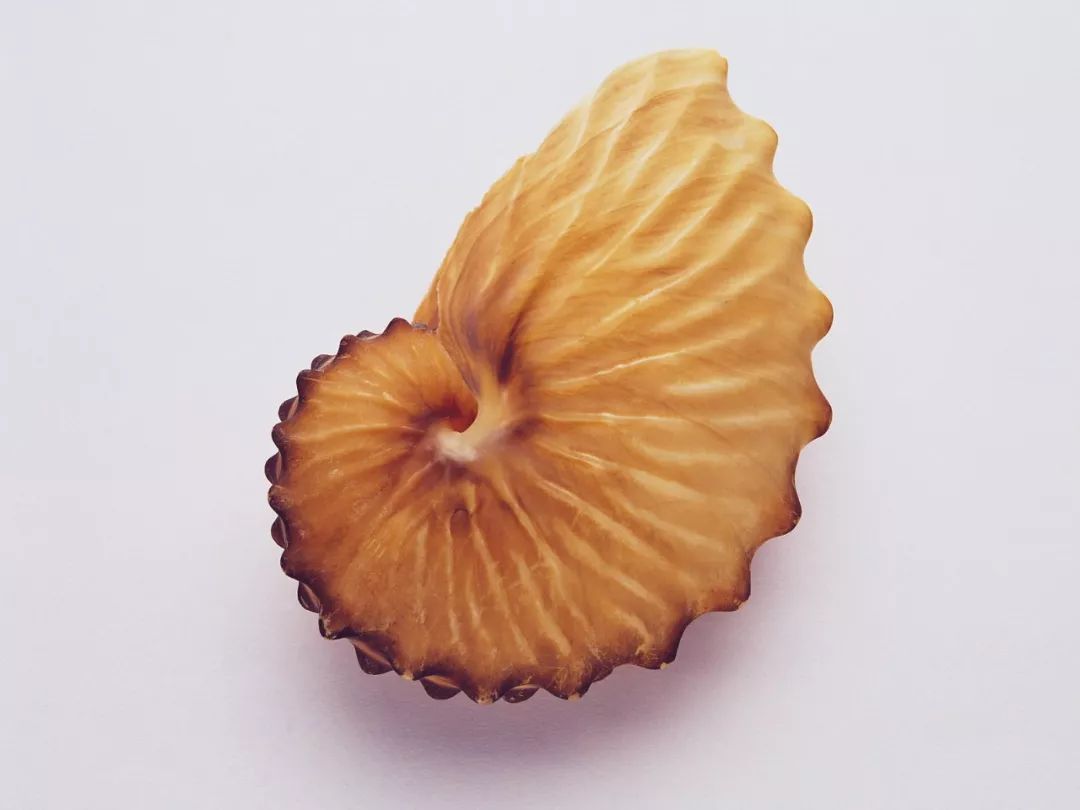 记住这3个黄金比例,软装设计不再"南"