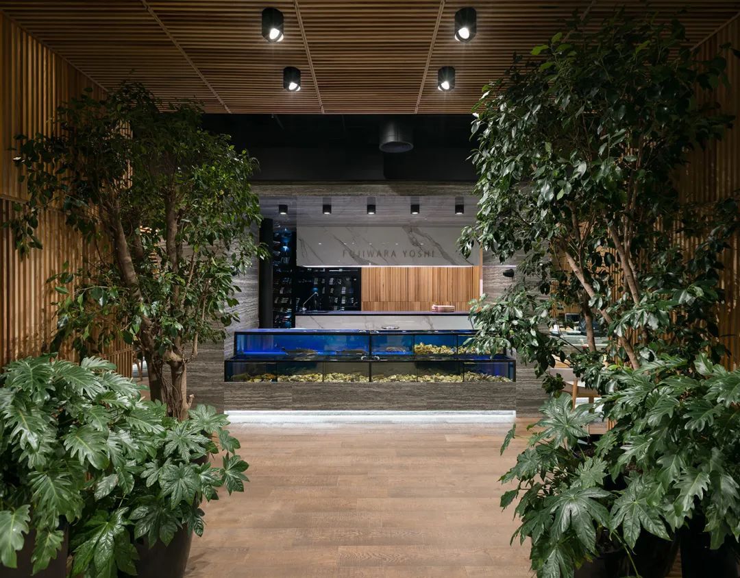 800㎡创意十足的日本餐厅 | Sergey Makhno Architects设计案例