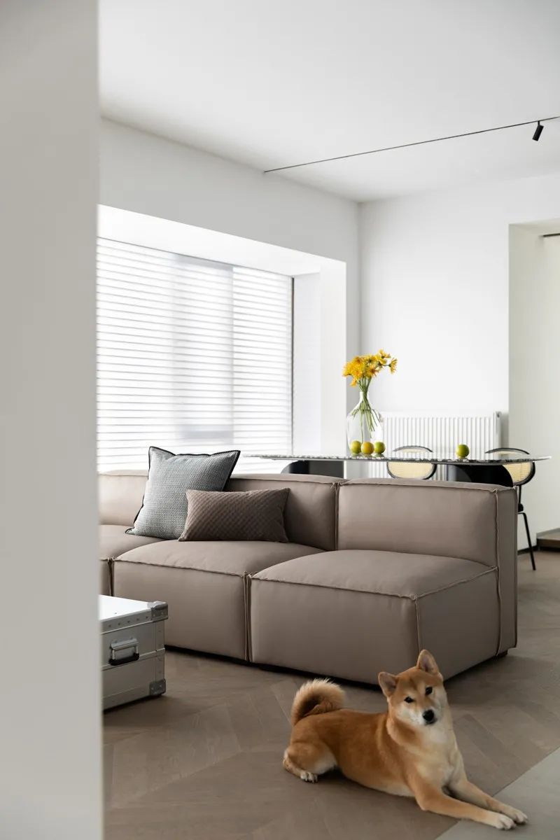 现代公寓：两人两犬，生活不限定 | 菲拉设计
