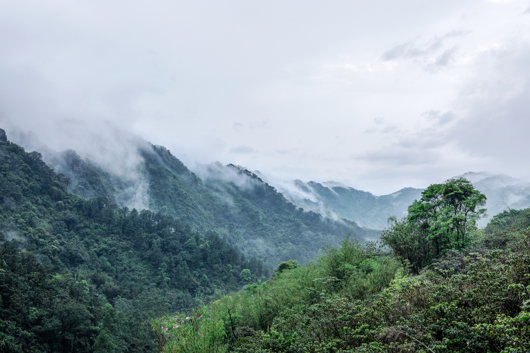 春山秋水|山水溪谷,自在由心设计案例