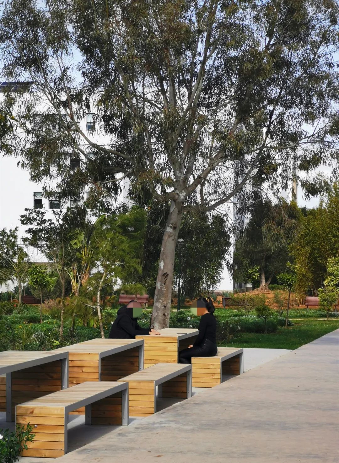 拉巴特国际大学校园景观提升 | PAN& LANDSCAPE ARCHITECTURE