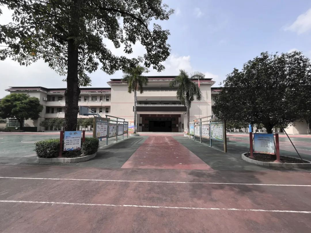 竖梁社新作:顺德伦教小学分部改造