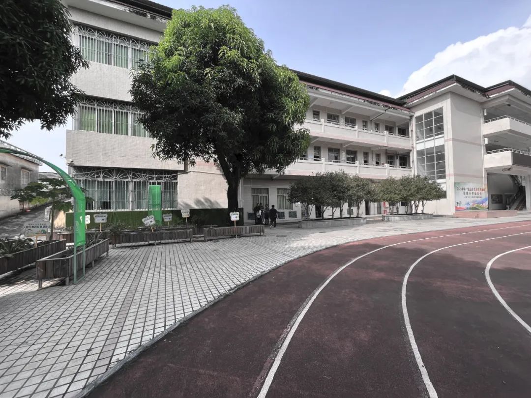 竖梁社新作:顺德伦教小学分部改造